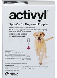 Flea Prevention Saint Petersburg Florida 4th Street Pet Hospital
