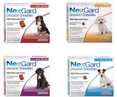 nexguard NexGard