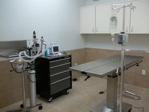 surgery 4th Street Pet Hospital